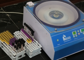 شرکت فرودگاهها و ناوبری هوایی کل کشور